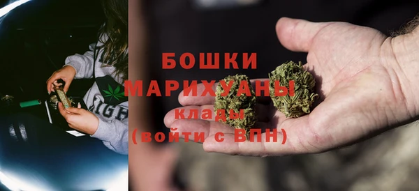 spice Бородино