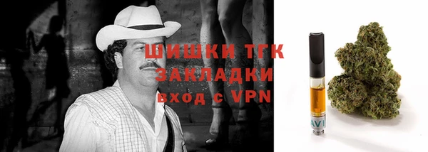 шишки Бронницы