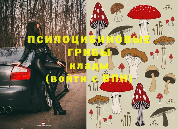 spice Бородино