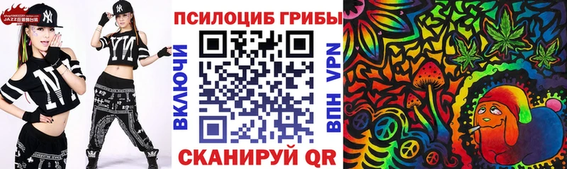 Псилоцибиновые грибы мицелий  hydra зеркало  Воркута 